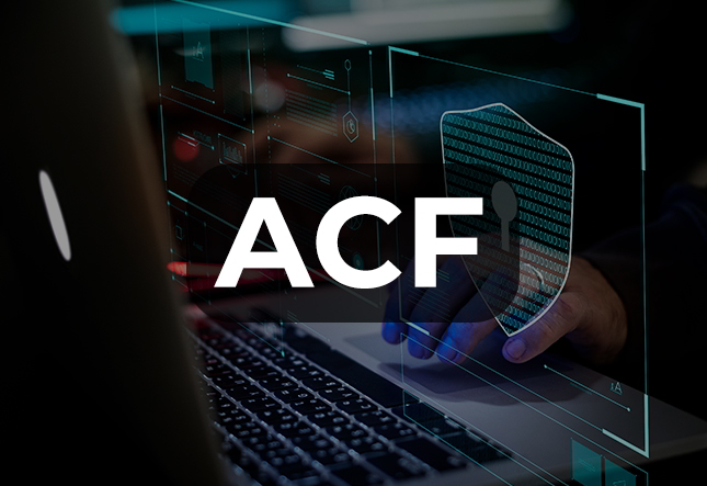 Advanced Cyber Forensic (ACF)
