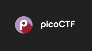 Beginner-Friendly CTF Platforms